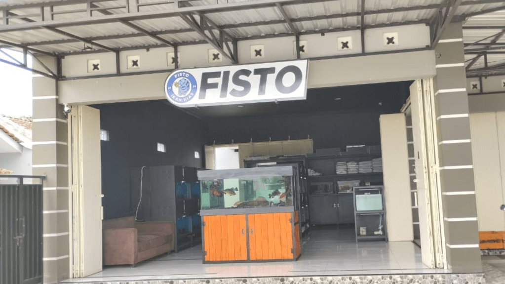 Toko Ikan Hias Fisto Magelang solusi ikan hias murah dan berkualitas di Magelang